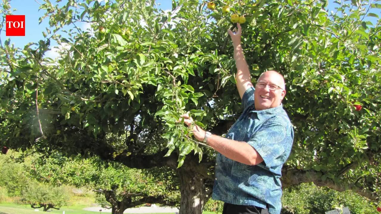 In 2012, a retired FBI agent began searching for ‘lost’ apples; more than a decade later, his mission has helped rediscover 30 forgotten varieties across the Pacific Northwest
