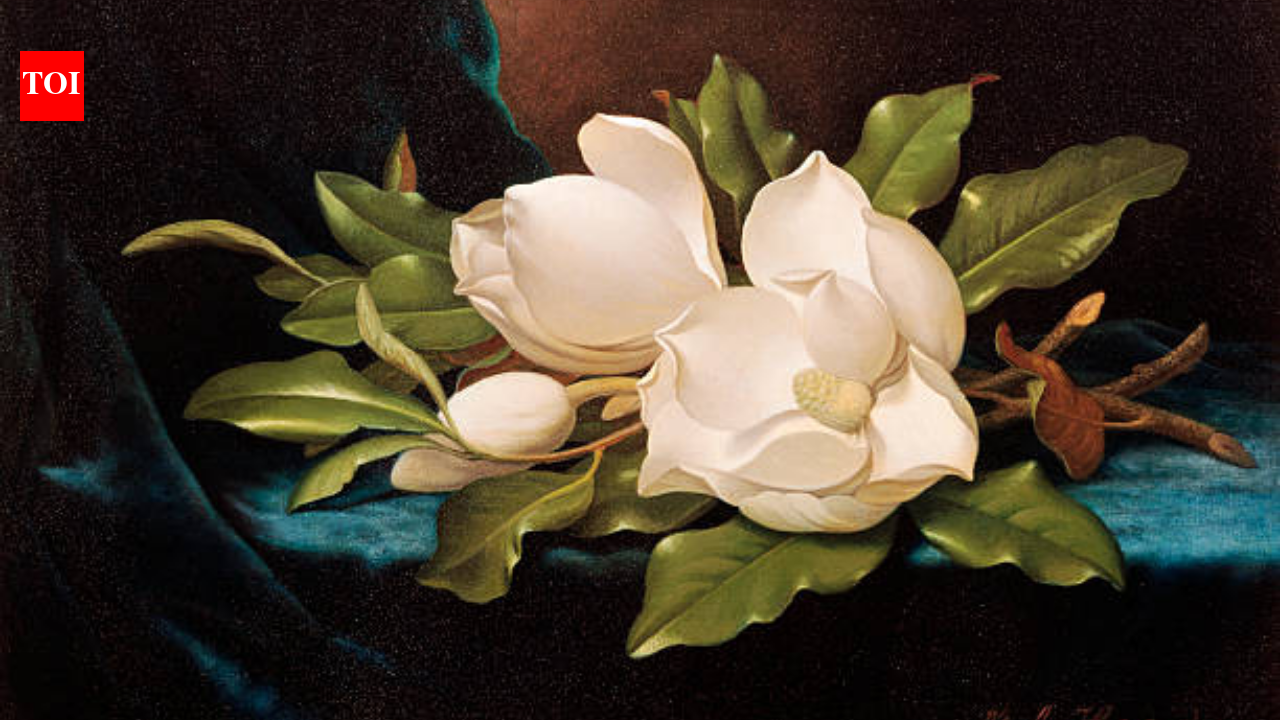 A Wisconsin bargain hunter paid just $29 for a flower painting at a rummage sale; about a decade later it was authenticated as a Martin Johnson Heade and sold at Christie’s for $882,500