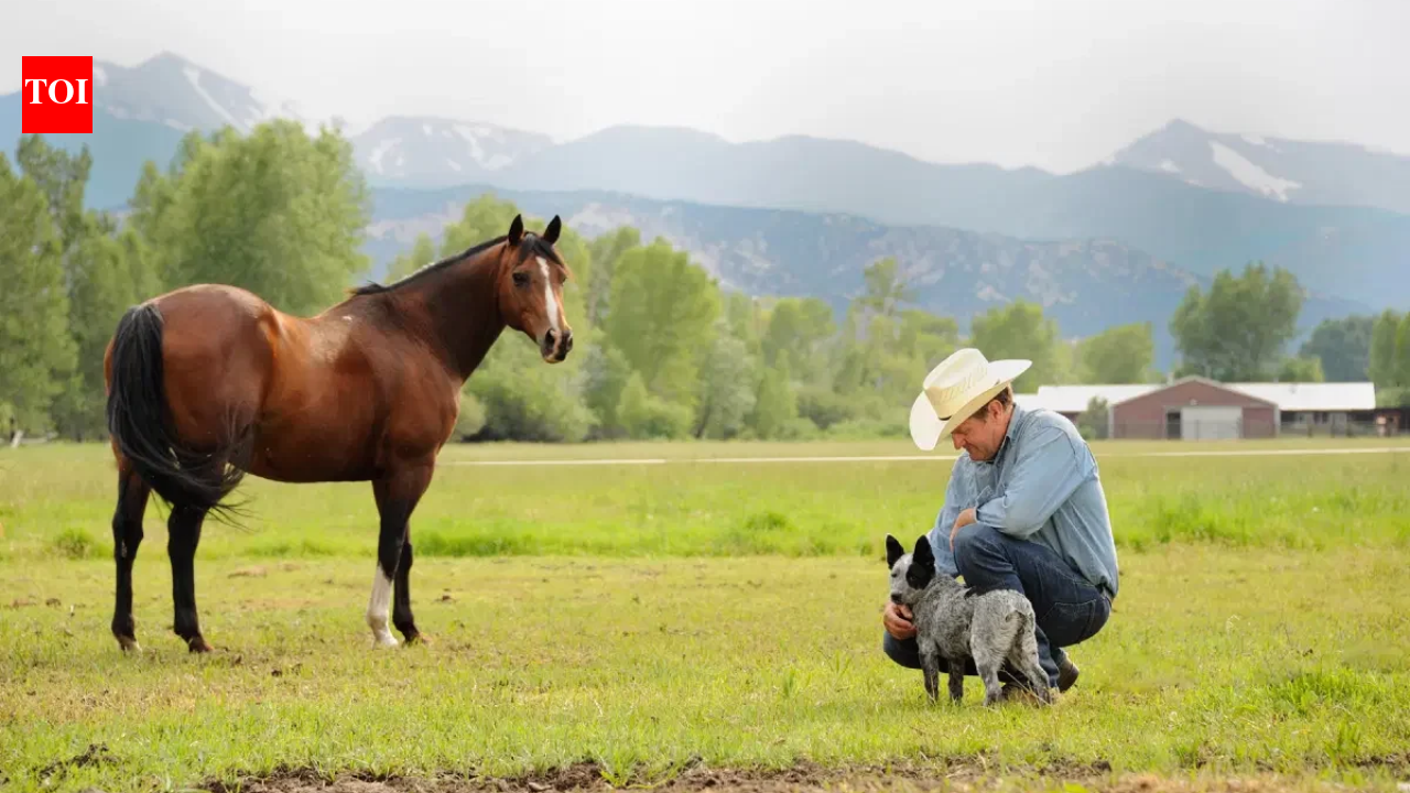 A Colorado ranch homesteaded before statehood stayed with the same family for six generations; more than 150 years later, 650 of its roughly 700 acres were permanently protected from subdivision | World News
