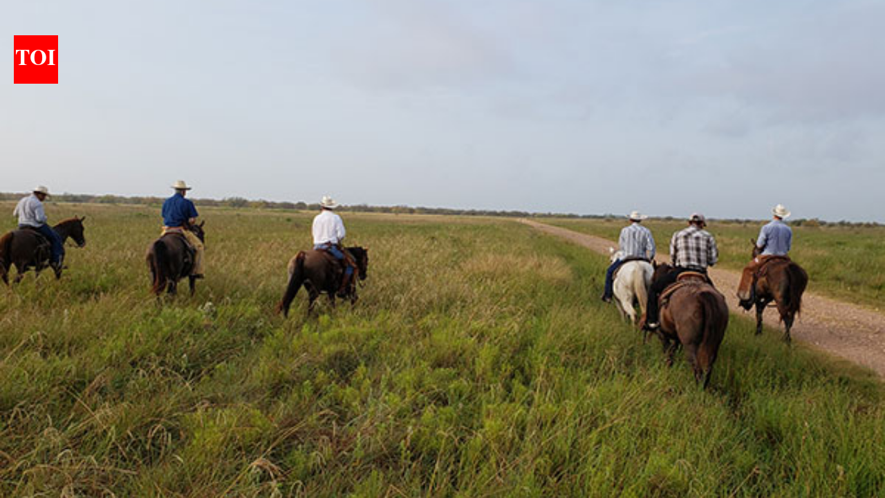 Texas ranchers blocked well operators from a 1,604-acre tract in 2004; on October 1, an appeals court ruled an oil company may cross the land to plug a shut-in well 15 to 20 yards from the San Antonio River