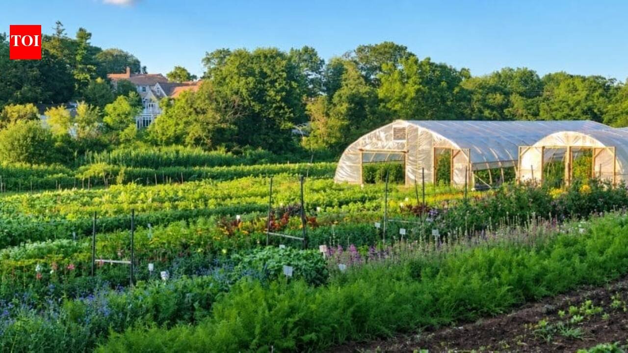 After more than six generations of family ownership, a Massachusetts nonprofit raised over $4.9 million to buy 5.23-acre Holly Hill Farm and permanently protect the centuries-old piece of farmland