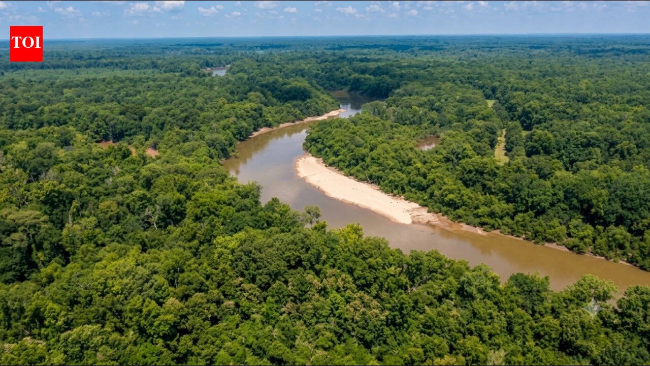 Marion: A 2,600-acre South Carolina timber property at the rivers where Revolutionary War commander Francis Marion hid from British forces has been transferred to the state, advancing a 7,600-acre conservation project with 60+ miles of riverfront