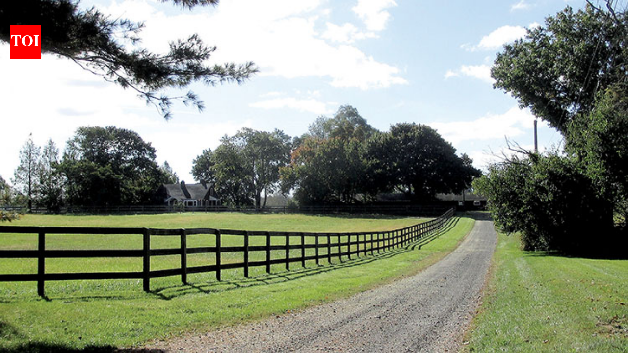 Jon Stewart Farm: Jon Stewart and his wife Tracey paid $4 million for a historic 45-acre New Jersey farm in 2016; the property now grows crops and cares for rescued cows, sheep, goats, pigs and chickens through their sanctuary foundation
