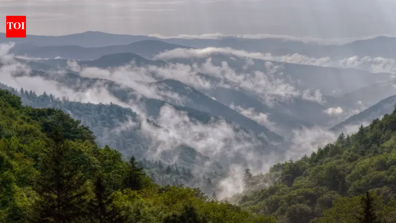 In 1928, supporters had raised $5 million for Great Smoky Mountains National Park but rising land prices stalled the effort; a Rockefeller memorial fund matched it with another $5 million, helping make the park possible | World News