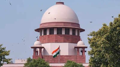 Supreme Court: File doesn’t reach judge in time, Supreme Court adjourns hearing on Punjab appeal | India News