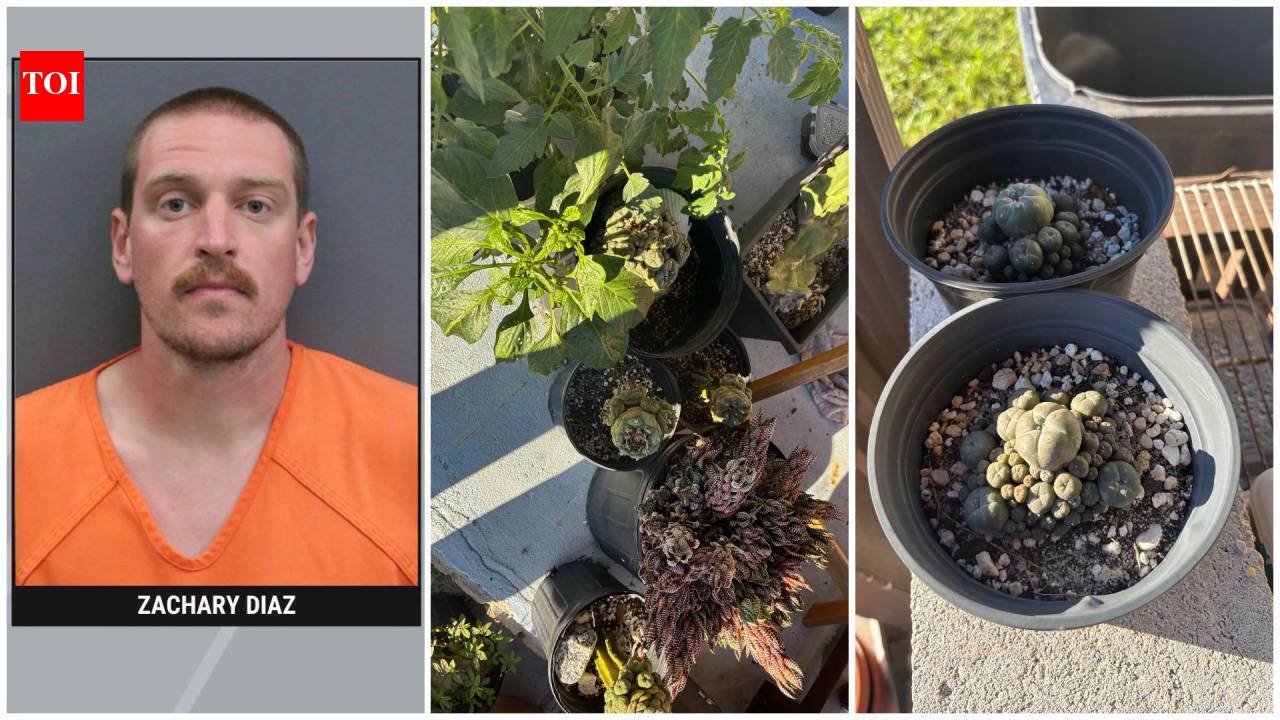 A Florida man sold hallucinogenic cacti and mushrooms on Facebook Marketplace, gets arrested; police seize 131 plants and 50 pounds of cacti at his Riverview home