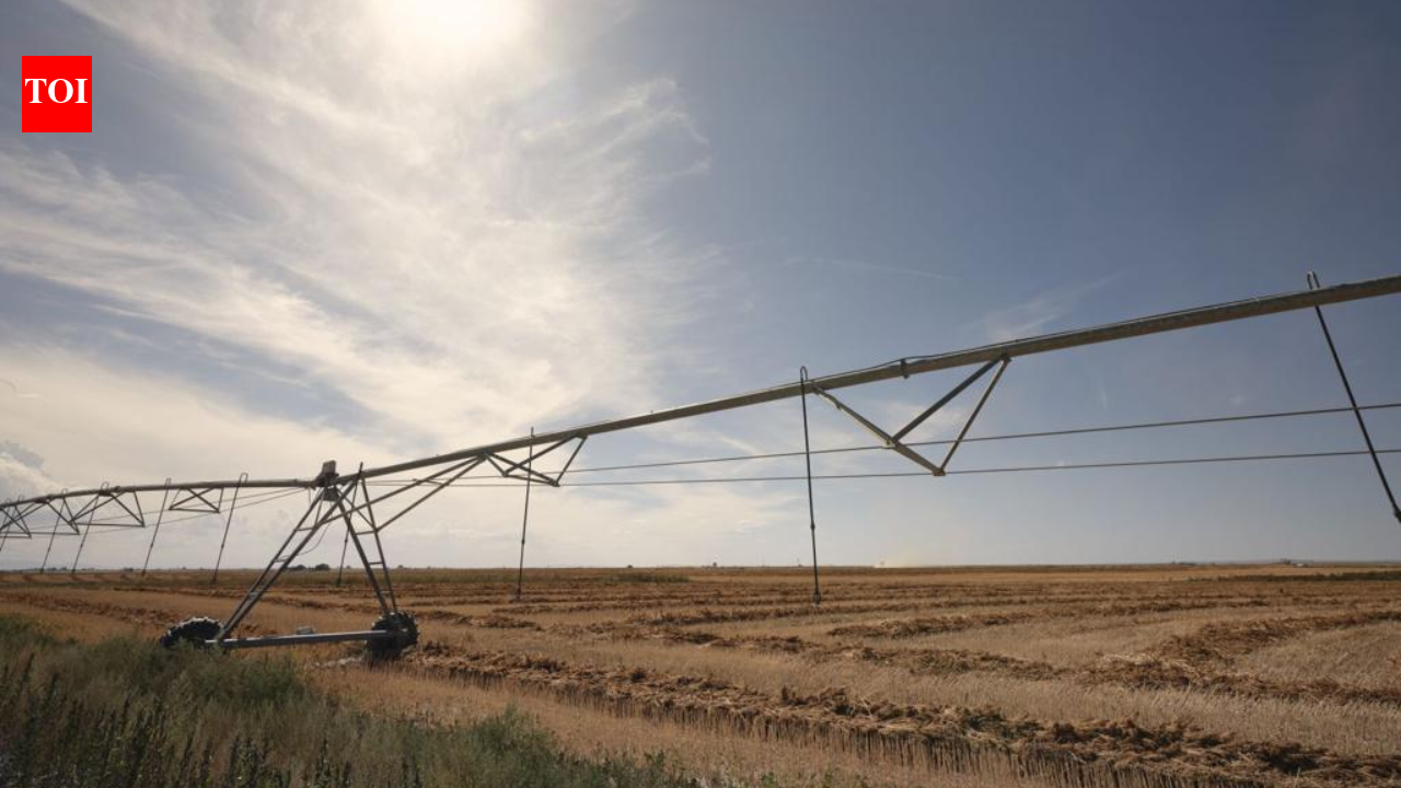 Idaho family has farmed 1,000 acres since 1950; after the state largely shut off its irrigation water in 2025, the owners say crops failed and are now suing to protect the family farm