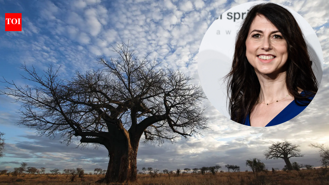 MacKenzie Scott gave Maliasili $15 million after an earlier grant helped create a conservation fund; that fund has since backed 28 organisations | World News