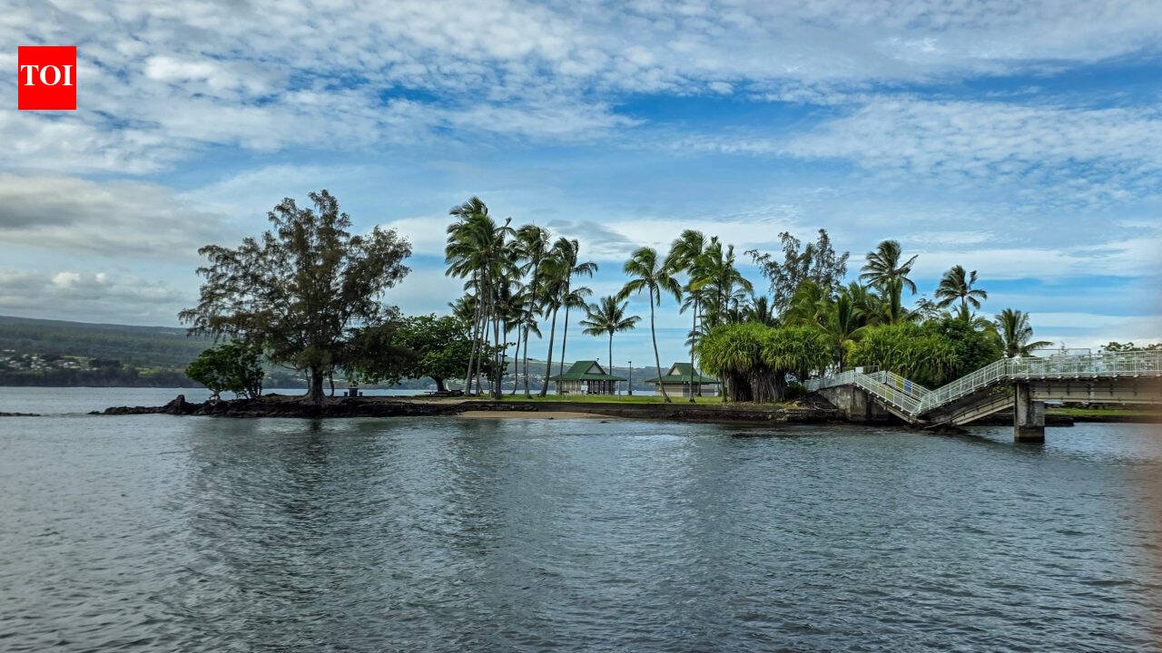 Nearly four years after engineers rated Coconut Island’s only pedestrian bridge in serious condition, an 8,000-pound county excavator helped collapse it; Hawaii now faces up to $22 million to restore access