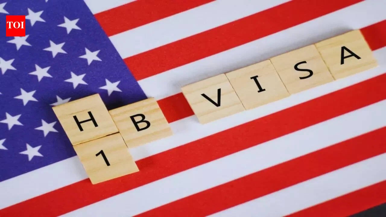 Indian-origin engineering manager says H-1Bs included equal Indians and Chinese 10 years ago: They went back to China