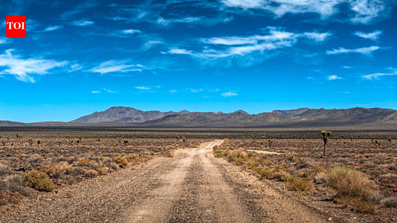 Two Arizona brothers, aged 10 and 12, vanished into the desert; trackers followed more than 6 miles of footprints before a helicopter-assisted search found them safe after eight hours