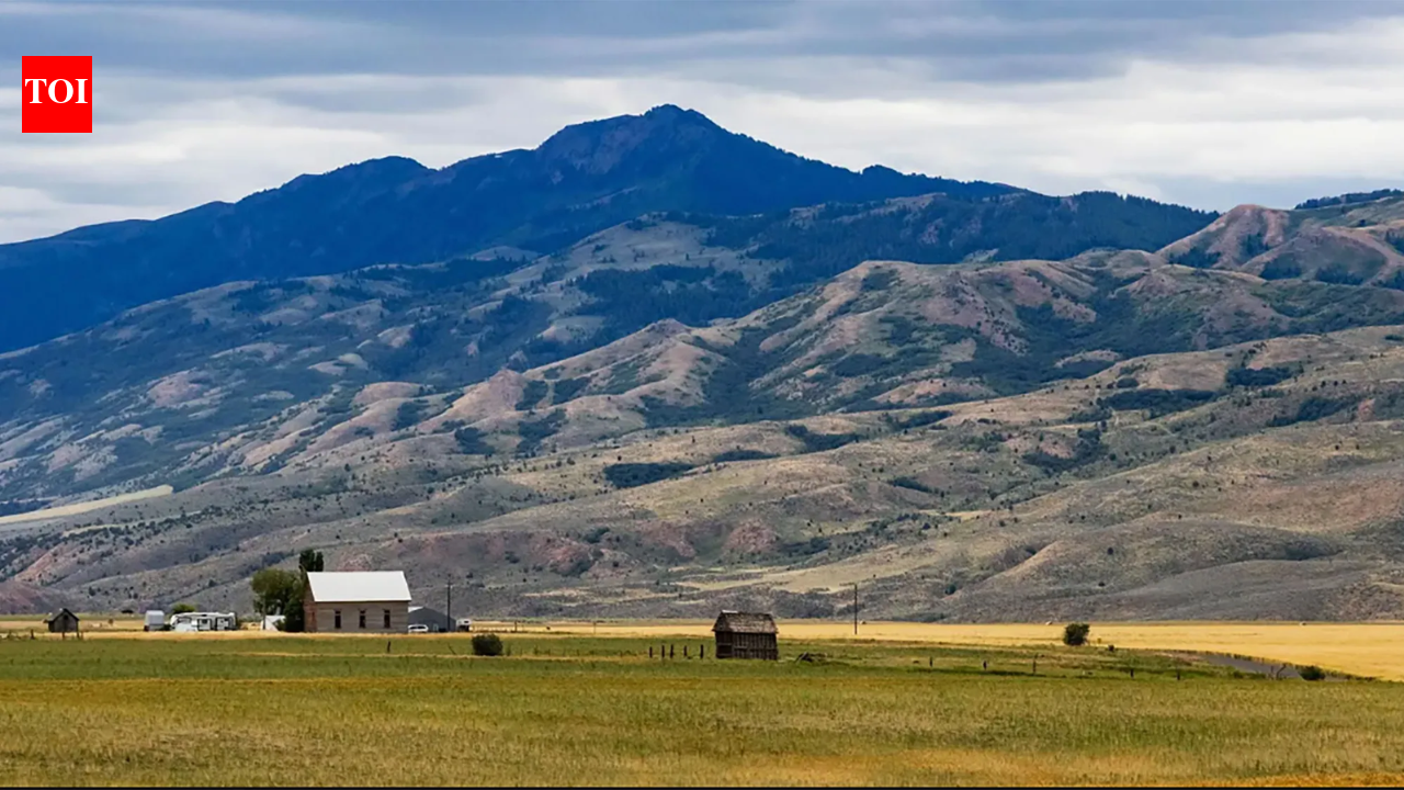 An Iowa farmer whose family farms 400 acres says crops barely cover taxes; after a solar project won a key county permit, he says leases are running about $1,200 per acre and hopes most of his land can join