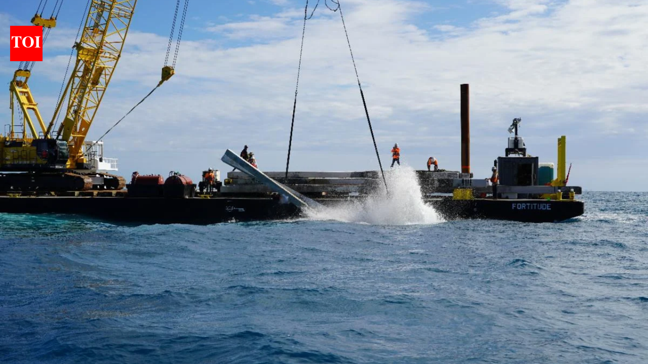 Florida turned wreckage from the Hurricane Ian-damaged Naples Pier into an underwater habitat: 59 concrete pilings weighing more than 300 tons now sit at Wasmer Reef about 10 miles offshore instead of a landfill