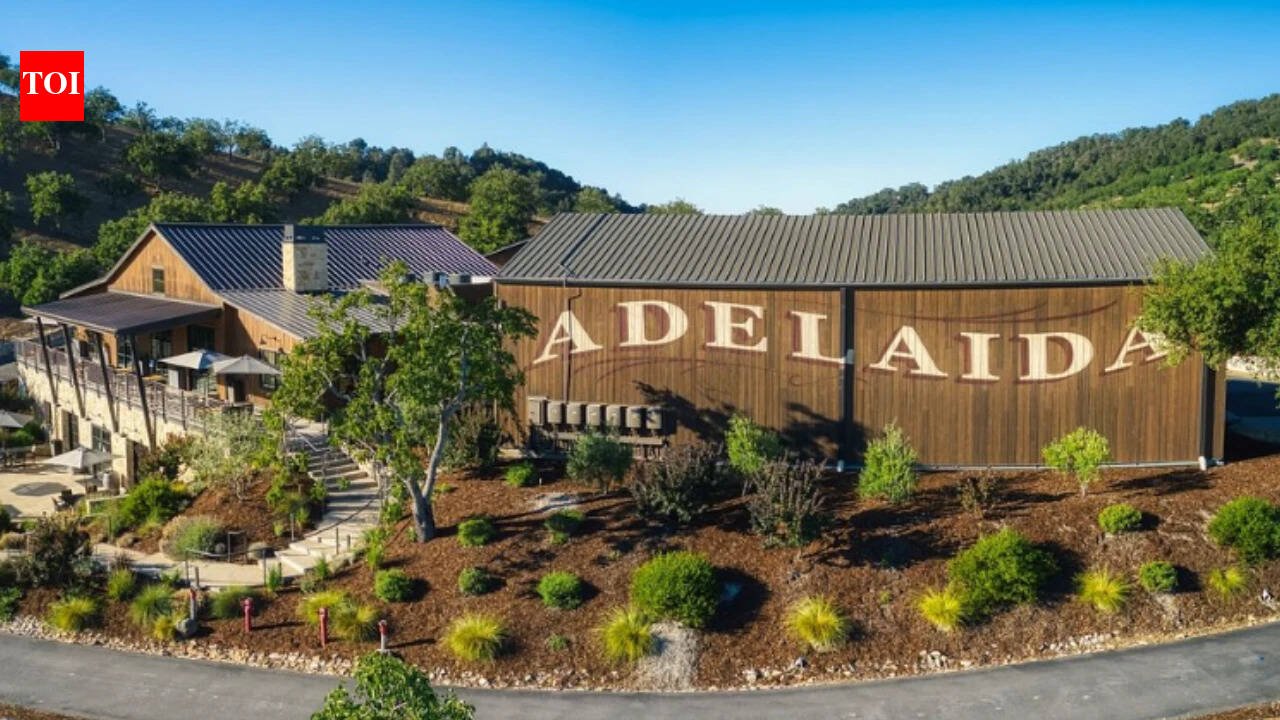 A California winery founded in 1981 faces an October 15 buyer deadline after a $12.7 million judgment and Chapter 11 case; court filings put a sale at $3.8M-$6.7M versus $1.4M-$2.8M in liquidation
