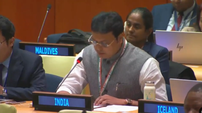 ‘Unable to distinguish between victim & perpetrator’: India tears into OIC over J&K remarks at UN | India News