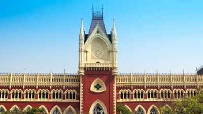 Calcutta high court says peaceful protest not an offence just because authorities dislike it | India News