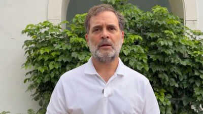 Rahul Gandhi launches ‘Satyagraha’ website for information on current protests across India | India News