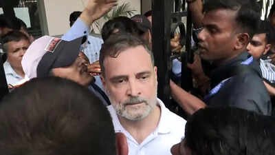 ‘Once a skunk, always a skunk’: DMK questions Rahul Gandhi’s stand on Tamil Nadu SIR deletions amid anti-CEC protest | India News