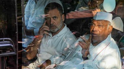 Rahul Gandhi venting electoral frustration through protests: BJP | India News