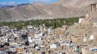 ‘No amount of denial can change the fact’: MEA’s firm message to China on Ladakh | India News
