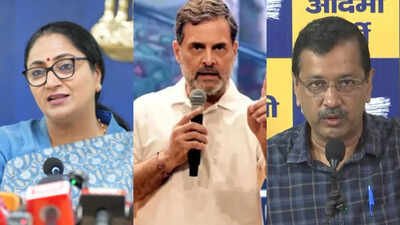 ‘Seek to turn Delhi into battleground’: CM Rekha Gupta slams CJP, Rahul & Kejriwal amid anti-SIR protests | India News