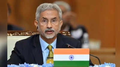 Russia-Ukraine Conflict: World entering age of flux, India will rise to challenges: EAM S Jaishankar | India News