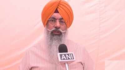 ‘Sikh sentiments hurt’: Gurdwara body questions protesters, police for intrusion into premises | India News