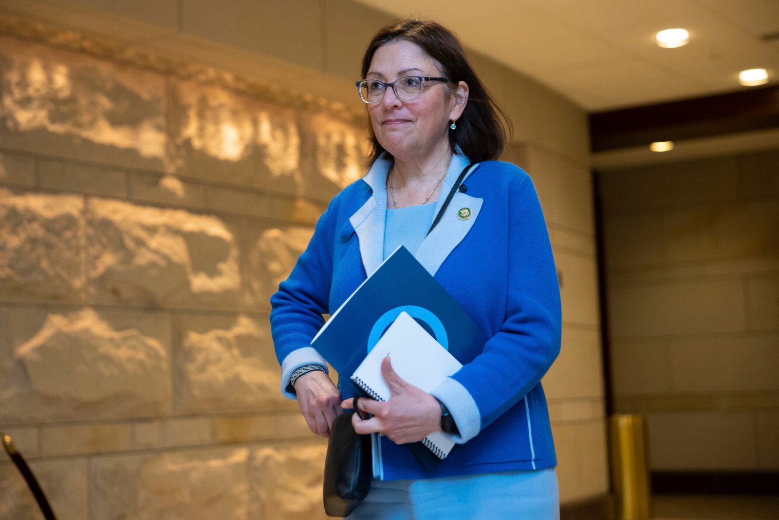House Democratic campaign arm says it needs $17 million, and fast
