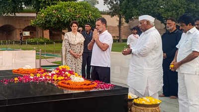 ‘Dhappa’ gets a Day 3 twist as police allow Rahul, INDIA bloc MPs to protest at Raj Ghat | India News