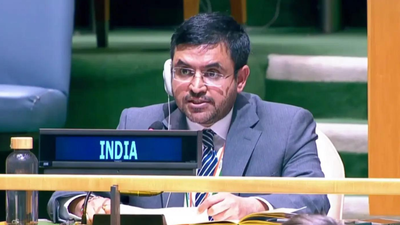 Pakistan’s terror monsters now wreak havoc in its own backyard: India at UN | India News