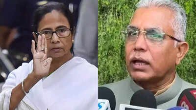 Dhruv Rathee: ‘Makes such claims all the time’: BJP dismisses TMC’s Mamata knife attack allegation | India News