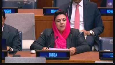 ‘Peddling lies and falsehoods’: India hits back at Pakistan at UN over Jammu and Kashmir | India News
