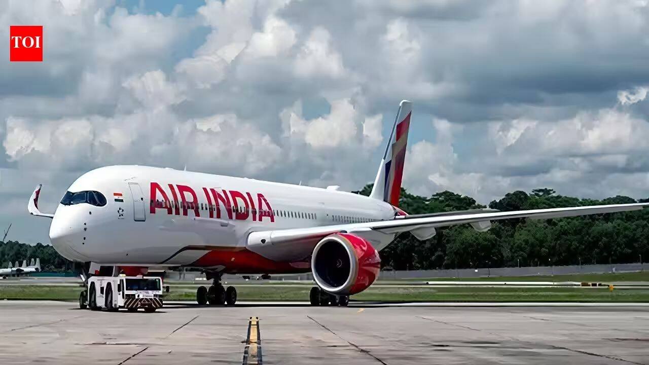 Air India Frankfurt-Delhi flight diverted to Jaipur after bomb threat | India News