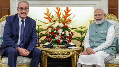 ‘New pace, new height’: PM Modi-Parmelin talks put India-Switzerland ties on fast track | India News
