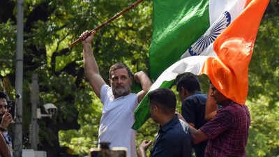 Rahul Gandhi: ‘FIRs are like medals, I want 100’: Rahul Gandhi ups ante against Gyanesh Kumar, seeks resignation | India News