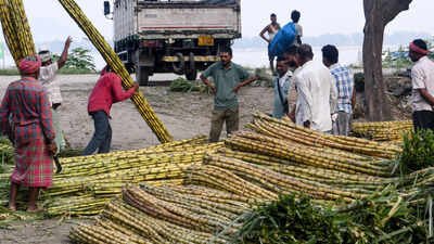Government set to halt sugarcane juice, B-heavy molasses diversion for ethanol | India News