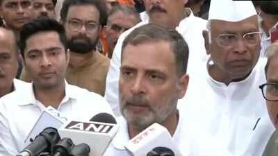 ‘Criminal conspiracy to hijack India’: Rahul ups the ante against govt, CEC | India News