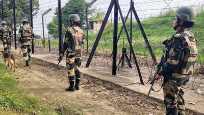BSF neutralises 2 Pakistani intruders attempting to cross border in Punjab’s Tarn Taran | India News