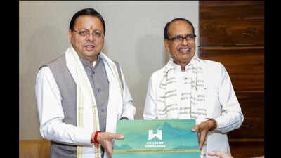 Uttarakhand CM Dhami meets Union minister Chouhan to seek approval for rural road expansion | India News