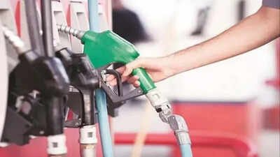 Switch to cleaner fuel: Study calls for tech-neutral stance | India News