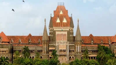‘What’s the purpose of SIR if citizens are removed?’ Bombay high court’s Goa bench raps EC | India News