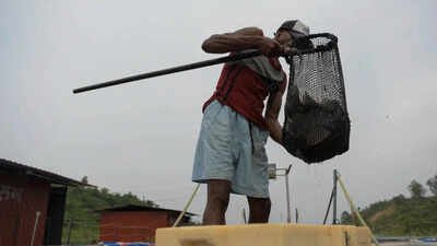 India to come out with a national plan to boost small-scale fisheries sector | India News