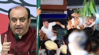 ‘Expert in theatrics’: BJP its out at Rahul Gandhi over protest ‘drama’, row over meeting EC | India News