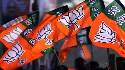 BJP announces 8 candidates for Rajya Sabha polls in Uttar Pradesh | India News