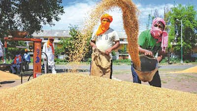 Wheat Msp Hike: 25 paisa/kg wheat MSP hike an ‘insult’: Samyukta Kisan Morcha | India News